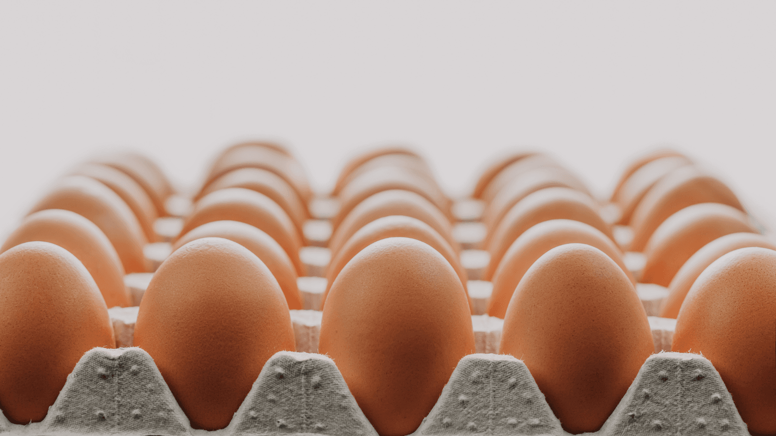 Egg prices too high? Easter Egg alternatives