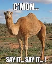 So, it’s NOT Humpday anymore?